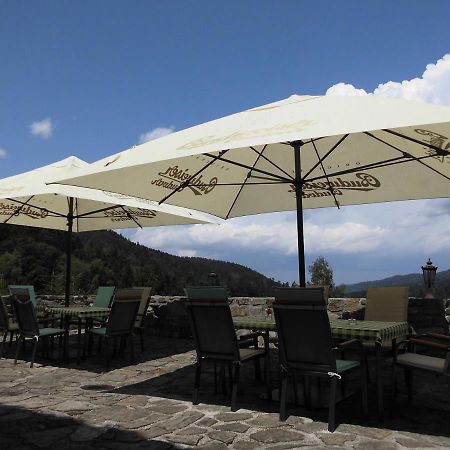 Hotel Studenec Rožmberk nad Vltavou Extérieur photo