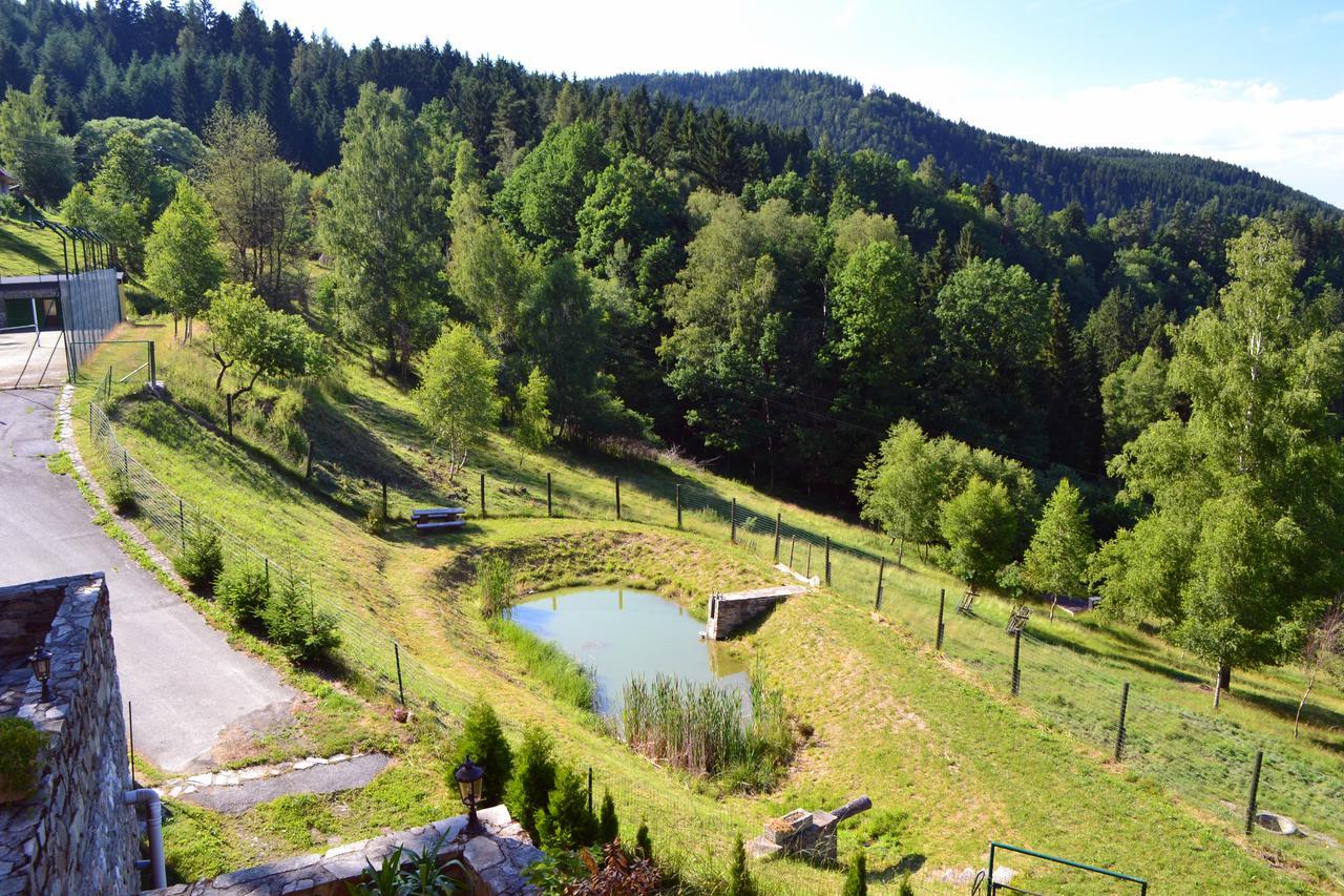 Hotel Studenec Rožmberk nad Vltavou Extérieur photo